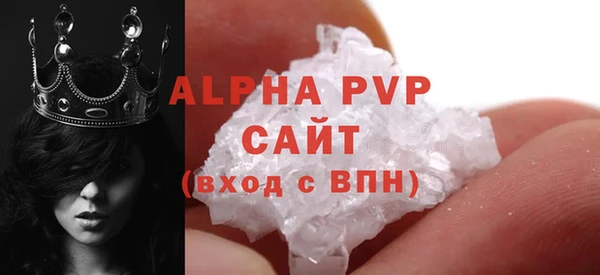 эйфоретик Инта