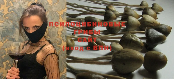 эйфоретик Инта