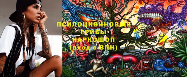 эйфоретик Инта