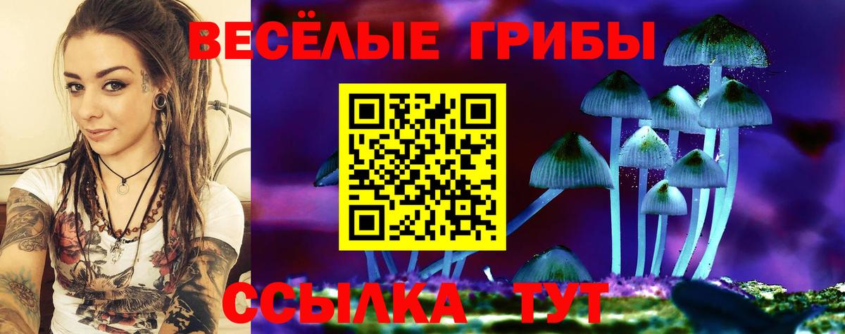 Псилоцибиновые грибы Cubensis  Галлюциногенные грибы MAGIC MUSHROOMS  Вход с VPN  Темрюк 
