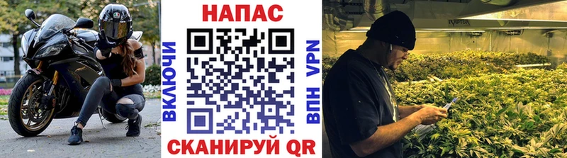 Марихуана гибрид  Темрюк 